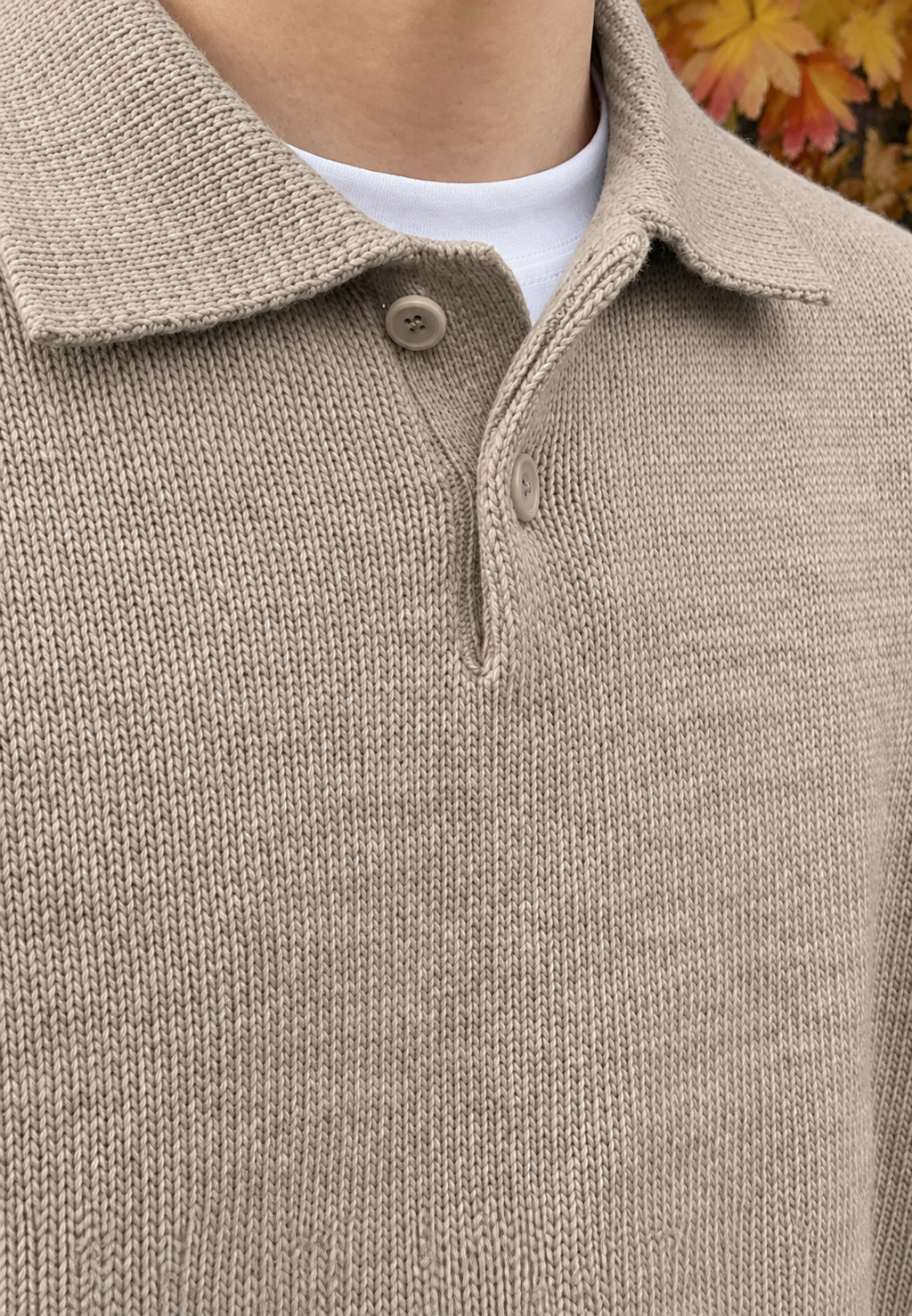 Polo hombre manga larga punto liso cuello clásico tapeta botones otoño - Miro